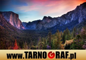 Fototapeta na wymiar - P.H.U. TARNOGRAF - Fabryka Reklamy Tarnobrzeg