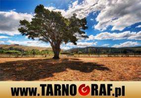 Fototapeta na wymiar - P.H.U. TARNOGRAF - Fabryka Reklamy Tarnobrzeg