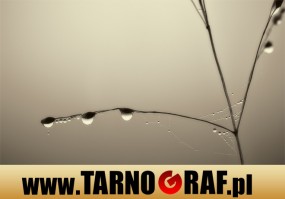 Fototapeta na wymiar - P.H.U. TARNOGRAF - Fabryka Reklamy Tarnobrzeg