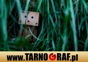 Fototapeta na wymiar - P.H.U. TARNOGRAF - Fabryka Reklamy Tarnobrzeg