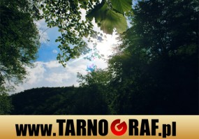 Fototapeta na wymiar - P.H.U. TARNOGRAF - Fabryka Reklamy Tarnobrzeg