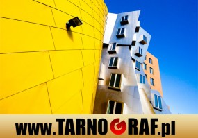 Fototapeta na wymiar - P.H.U. TARNOGRAF - Fabryka Reklamy Tarnobrzeg