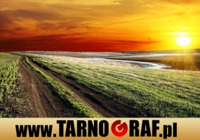 Fototapeta na wymiar - P.H.U. TARNOGRAF - Fabryka Reklamy Tarnobrzeg