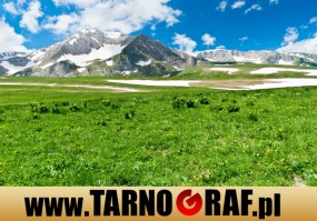 Fototapeta na wymiar - P.H.U. TARNOGRAF - Fabryka Reklamy Tarnobrzeg