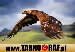 Fototapeta na wymiar - P.H.U. TARNOGRAF - Fabryka Reklamy Tarnobrzeg