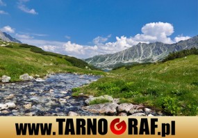 Fototapeta na wymiar - P.H.U. TARNOGRAF - Fabryka Reklamy Tarnobrzeg