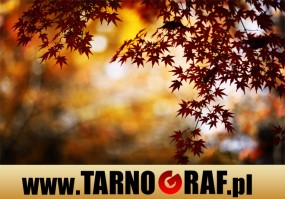 Fototapeta na wymiar - P.H.U. TARNOGRAF - Fabryka Reklamy Tarnobrzeg