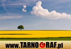 Fototapeta na wymiar - P.H.U. TARNOGRAF - Fabryka Reklamy Tarnobrzeg