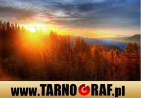 Fototapeta na wymiar - P.H.U. TARNOGRAF - Fabryka Reklamy Tarnobrzeg