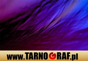 Fototapeta na wymiar - P.H.U. TARNOGRAF - Fabryka Reklamy Tarnobrzeg