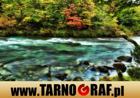 Fototapeta na wymiar - P.H.U. TARNOGRAF - Fabryka Reklamy Tarnobrzeg