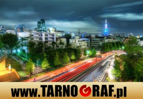 Fototapeta na wymiar - P.H.U. TARNOGRAF - Fabryka Reklamy Tarnobrzeg