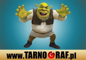 Fototapeta na wymiar - P.H.U. TARNOGRAF - Fabryka Reklamy Tarnobrzeg