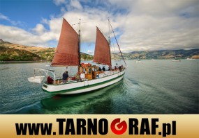 Fototapeta na wymiar - P.H.U. TARNOGRAF - Fabryka Reklamy Tarnobrzeg