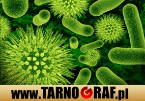 Fototapeta na wymiar - P.H.U. TARNOGRAF - Fabryka Reklamy Tarnobrzeg