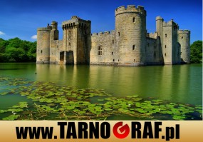 Fototapeta na wymiar - P.H.U. TARNOGRAF - Fabryka Reklamy Tarnobrzeg