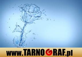 Fototapeta na wymiar - P.H.U. TARNOGRAF - Fabryka Reklamy Tarnobrzeg