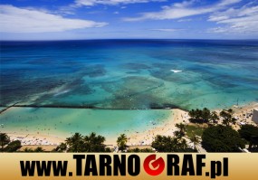 Fototapeta na wymiar - P.H.U. TARNOGRAF - Fabryka Reklamy Tarnobrzeg