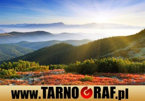 Fototapeta na wymiar - P.H.U. TARNOGRAF - Fabryka Reklamy Tarnobrzeg