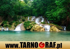 Fototapeta na wymiar - P.H.U. TARNOGRAF - Fabryka Reklamy Tarnobrzeg