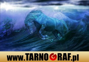 Fototapeta na wymiar - P.H.U. TARNOGRAF - Fabryka Reklamy Tarnobrzeg