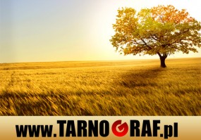 Fototapeta na wymiar - P.H.U. TARNOGRAF - Fabryka Reklamy Tarnobrzeg