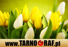 Fototapeta na wymiar - P.H.U. TARNOGRAF - Fabryka Reklamy Tarnobrzeg