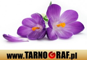 Fototapeta na wymiar - P.H.U. TARNOGRAF - Fabryka Reklamy Tarnobrzeg