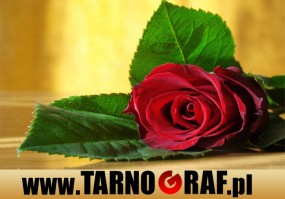 Fototapeta na wymiar - P.H.U. TARNOGRAF - Fabryka Reklamy Tarnobrzeg