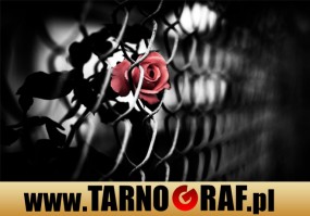 Fototapeta na wymiar - P.H.U. TARNOGRAF - Fabryka Reklamy Tarnobrzeg