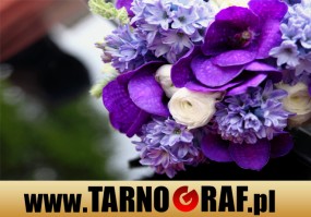 Fototapeta na wymiar - P.H.U. TARNOGRAF - Fabryka Reklamy Tarnobrzeg