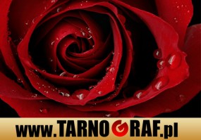 Fototapeta na wymiar - P.H.U. TARNOGRAF - Fabryka Reklamy Tarnobrzeg