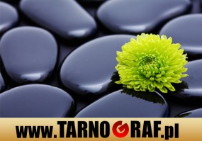 Fototapeta na wymiar - P.H.U. TARNOGRAF - Fabryka Reklamy Tarnobrzeg