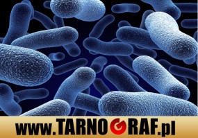 Fototapeta na wymiar - P.H.U. TARNOGRAF - Fabryka Reklamy Tarnobrzeg