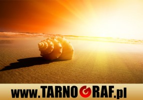 Fototapeta na wymiar - P.H.U. TARNOGRAF - Fabryka Reklamy Tarnobrzeg