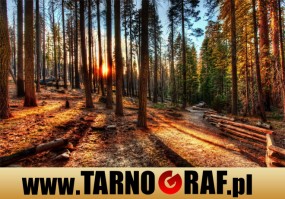 Fototapeta na wymiar - P.H.U. TARNOGRAF - Fabryka Reklamy Tarnobrzeg