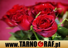 Fototapeta na wymiar - P.H.U. TARNOGRAF - Fabryka Reklamy Tarnobrzeg