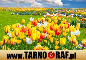 Fototapeta na wymiar - P.H.U. TARNOGRAF - Fabryka Reklamy Tarnobrzeg