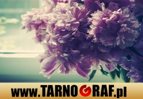 Fototapeta na wymiar - P.H.U. TARNOGRAF - Fabryka Reklamy Tarnobrzeg