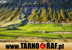 Fototapeta na wymiar - P.H.U. TARNOGRAF - Fabryka Reklamy Tarnobrzeg