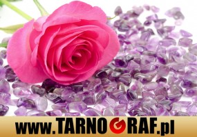 Fototapeta na wymiar - P.H.U. TARNOGRAF - Fabryka Reklamy Tarnobrzeg