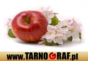 Fototapeta na wymiar - P.H.U. TARNOGRAF - Fabryka Reklamy Tarnobrzeg