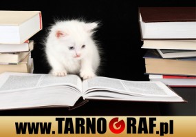 Fototapeta na wymiar - P.H.U. TARNOGRAF - Fabryka Reklamy Tarnobrzeg