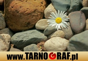 Fototapeta na wymiar - P.H.U. TARNOGRAF - Fabryka Reklamy Tarnobrzeg