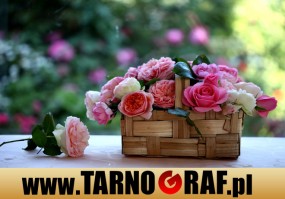 Fototapeta na wymiar - P.H.U. TARNOGRAF - Fabryka Reklamy Tarnobrzeg