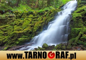 Fototapeta na wymiar - P.H.U. TARNOGRAF - Fabryka Reklamy Tarnobrzeg