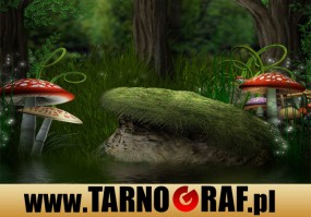 Fototapeta na wymiar - P.H.U. TARNOGRAF - Fabryka Reklamy Tarnobrzeg