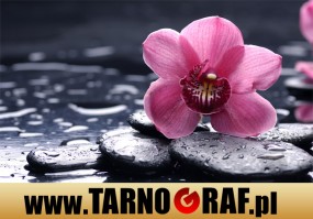 Fototapeta na wymiar - P.H.U. TARNOGRAF - Fabryka Reklamy Tarnobrzeg