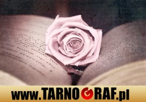 Fototapeta na wymiar - P.H.U. TARNOGRAF - Fabryka Reklamy Tarnobrzeg