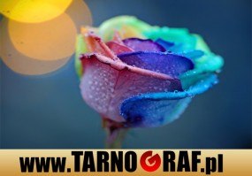 Fototapeta na wymiar - P.H.U. TARNOGRAF - Fabryka Reklamy Tarnobrzeg